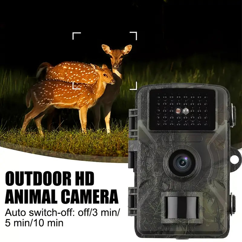 Wildlife Trail Camera